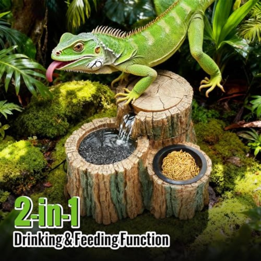 2 in 1 Reptile Water Fountain  - Water Dish Reptile avis et prix