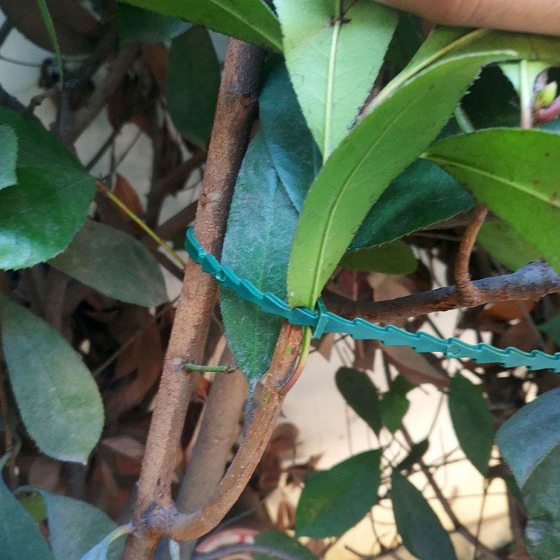 13cm Adjustable Plastic Plant  - Vine Climbing Plastic avis et prix