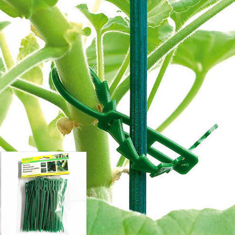 13cm Adjustable Plastic Plant  - Vine Climbing Plastic avis et prix