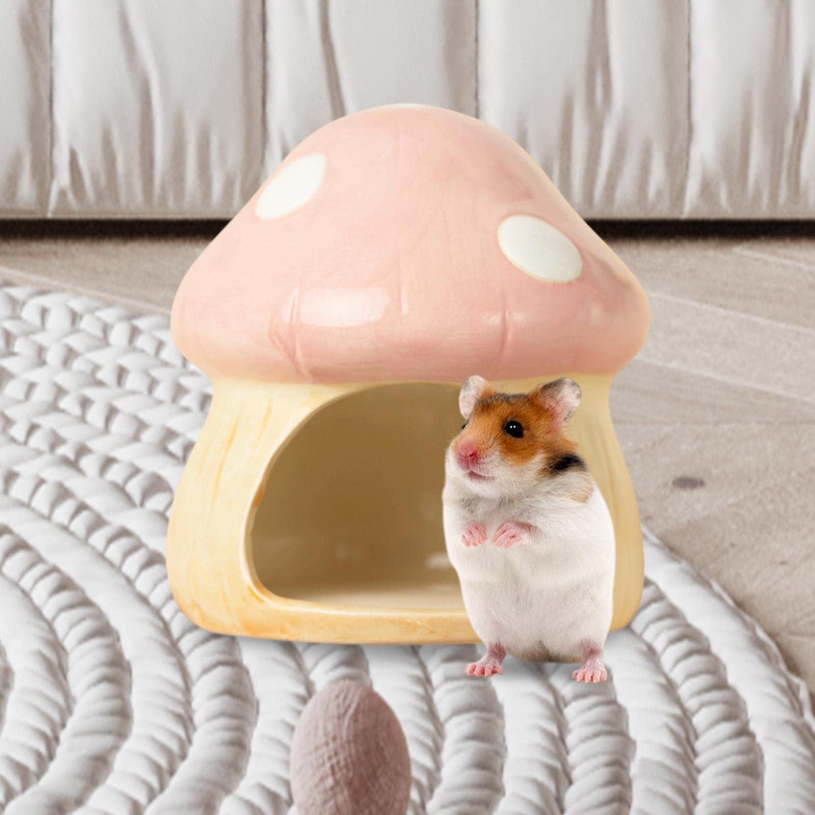 Ceramic Mushroom Hamster Hideo - Hide Cave Ceramic avis et prix