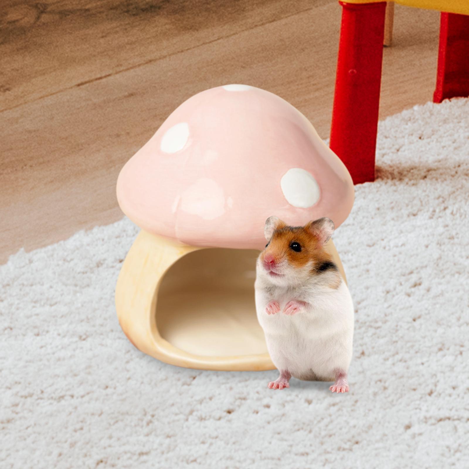 Ceramic Mushroom Hamster Hideo - Hide Cave Ceramic avis et prix