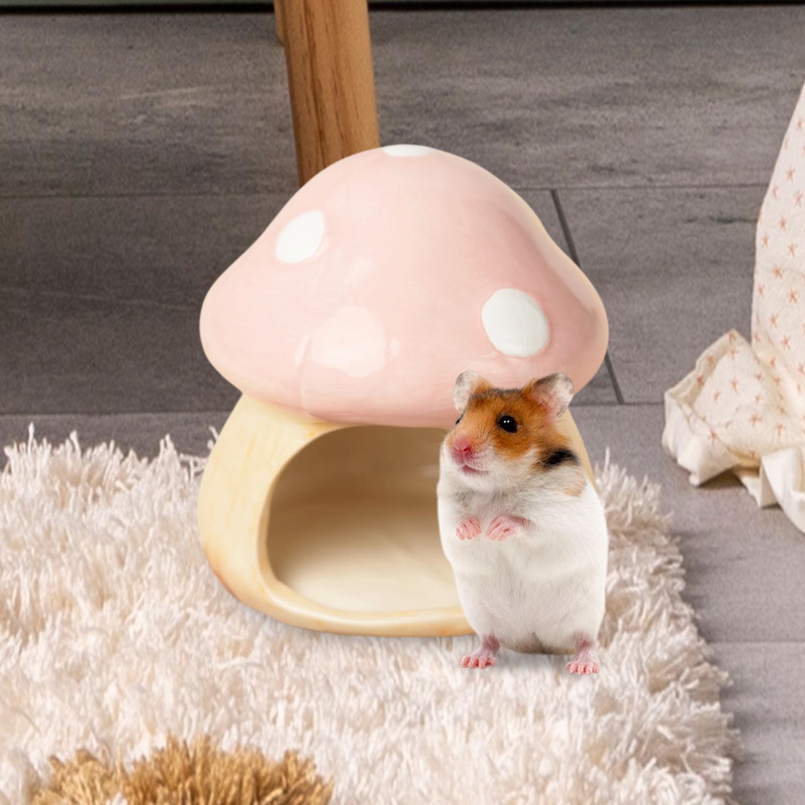 Ceramic Mushroom Hamster Hideo - Hide Cave Ceramic avis et prix
