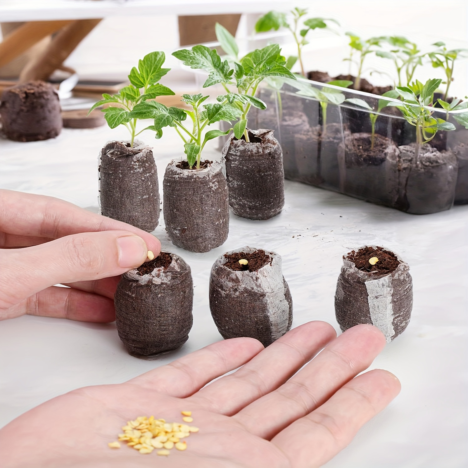 10/20/50pcs Plant Growth Bags  - Substrate Coconut Fiber avis et prix