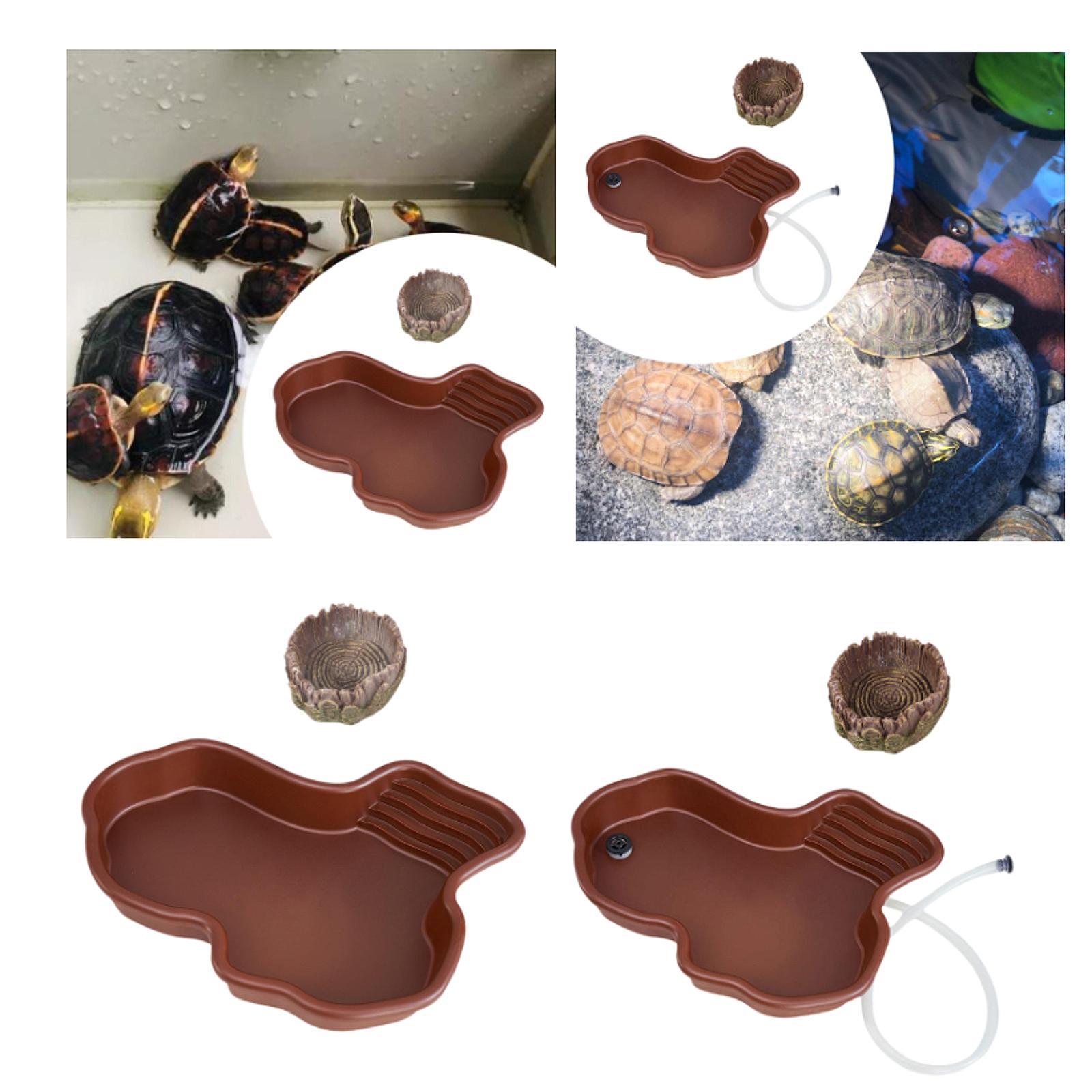 Reptile Feeding Dish Reptile B - Water Dish Reptile avis et prix
