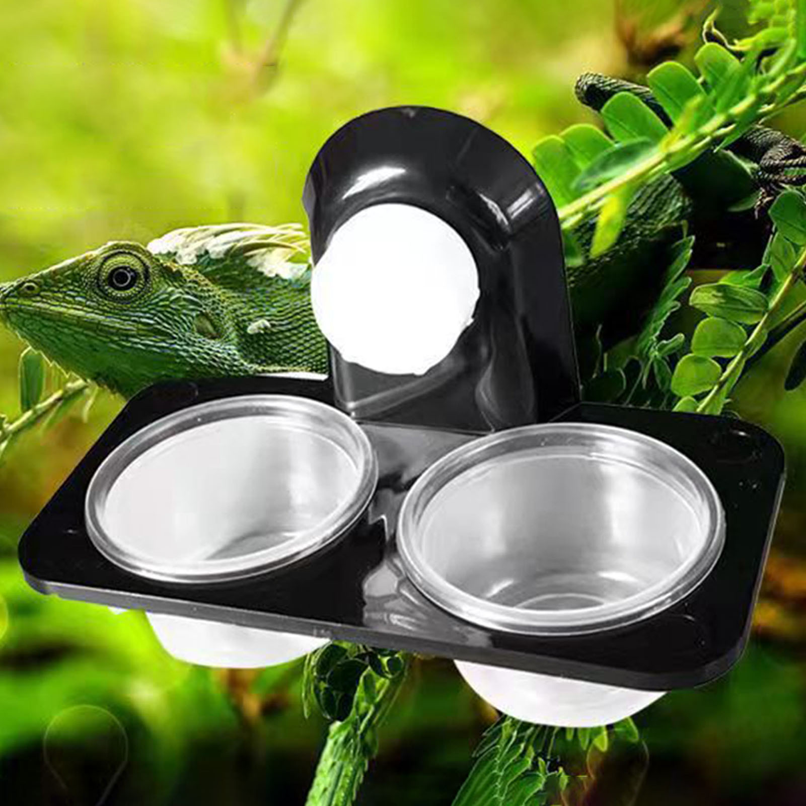 Crested Gecko Feeding Ledge Re - Water Dish Reptile avis et prix