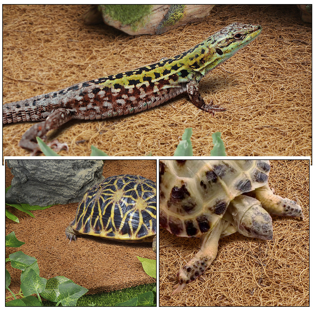 Reptile Terrarium Carpet Natur - Substrate Coconut Fiber avis et prix